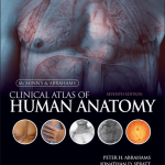 McMinn-and-Abrahams-Clinical-Atlas-of-Human-Anatomy-pdf-696×876-min