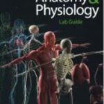 Human-Anatomy-Physiology-Lab-Guide-PDF-2021-Free-Download