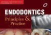 Endodontics Principles and Practice 4th Edition